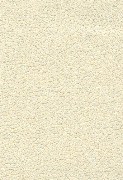 Brisa French Vanilla 303-3866 by Schumacher Fabric Ultraleather 100% Polyurethane Wyzenbeek 200,000 Horizontal: - and Vertical: - 54 - Fabric Carolina -