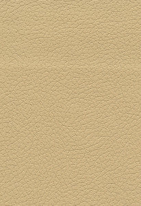 Brisa Golden 303-3867 by Schumacher Fabric