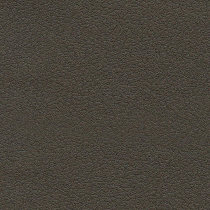 Brisa Truffle 303-3913 by Schumacher Fabric ULTRALEATHER POLYURETHANE 100% JAPAN WYZENBEEK 200,000 </p><p>Repeat: Horizontal: and Vertical: 54 - Fabric Carolina -