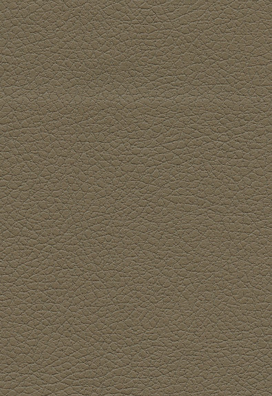 Brisa Bark 303-3914 by Schumacher Fabric Ultraleather 100% Polyurethane Wyzenbeek 200,000 Horizontal: - and Vertical: - 54 - Fabric Carolina -