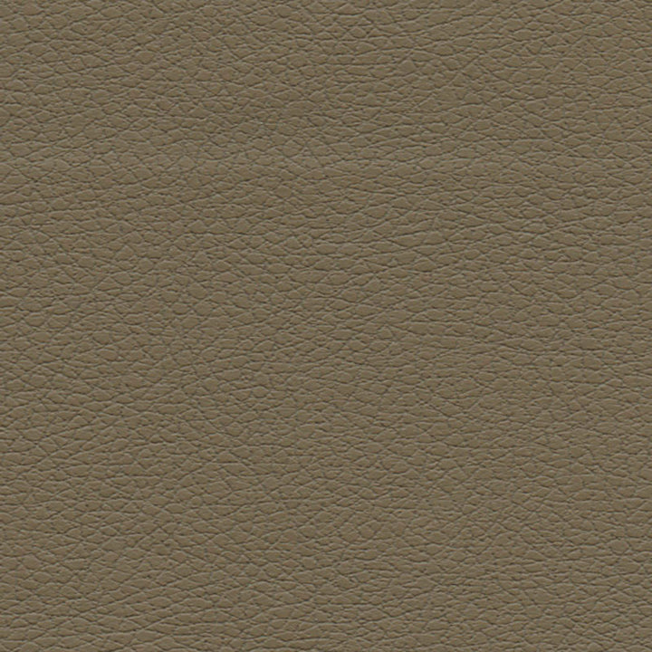 Brisa Bark 303-3914 by Schumacher Fabric ULTRALEATHER See Sample JAPAN HEAVY DUTY </p><p>Repeat: Horizontal: - and Vertical: - 54" WIDE (137CM) - Fabric Carolina -