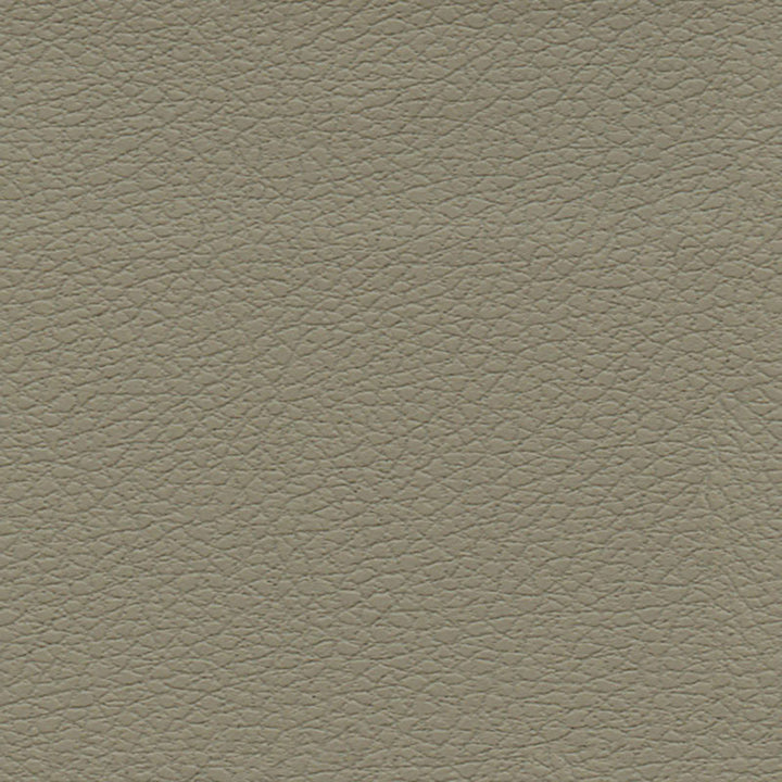 Brisa Fedora 303-3915 by Schumacher Fabric ULTRALEATHER See Sample JAPAN HEAVY DUTY </p><p>Repeat: Horizontal: - and Vertical: - 54" WIDE (137CM) - Fabric Carolina -