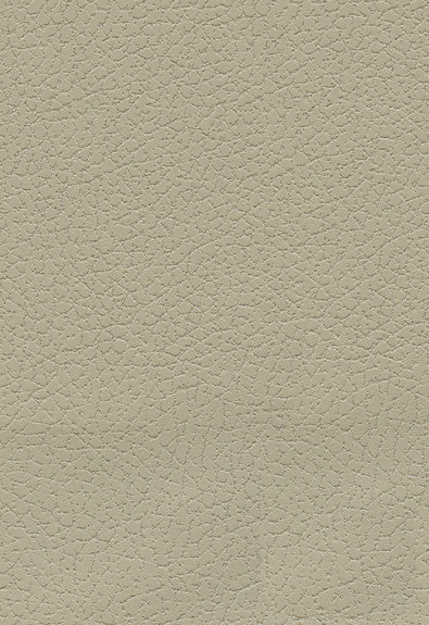 Brisa Sand 303-3946 by Schumacher Fabric Ultraleather 100% Polyurethane Wyzenbeek 200,000 Horizontal: - and Vertical: - 54 - Fabric Carolina -