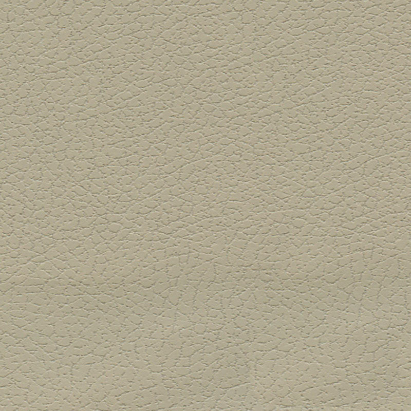 Brisa Sand 303-3946 by Schumacher Fabric ULTRALEATHER See Sample JAPAN HEAVY DUTY </p><p>Repeat: Horizontal: - and Vertical: - 54" WIDE (137CM) - Fabric Carolina -