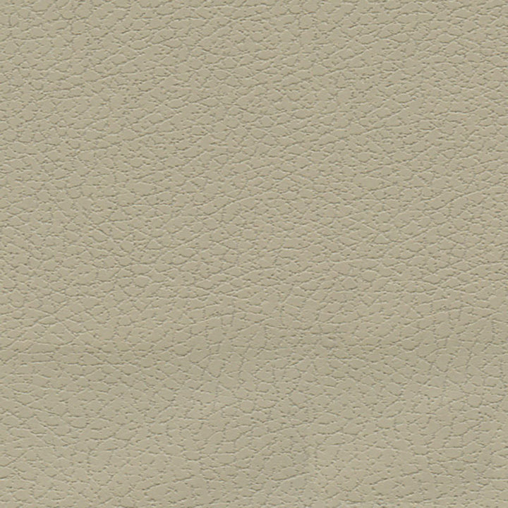 Brisa Sand 303-3946 by Schumacher Fabric ULTRALEATHER See Sample JAPAN HEAVY DUTY </p><p>Repeat: Horizontal: - and Vertical: - 54" WIDE (137CM) - Fabric Carolina -