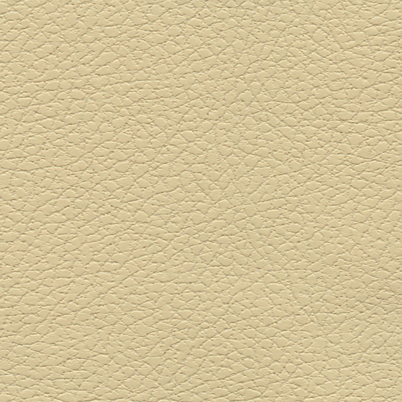 Brisa Camel 303-3960 by Schumacher Fabric ULTRALEATHER POLYURETHANE 100% JAPAN WYZENBEEK 200,000 </p><p>Repeat: Horizontal: and Vertical: 54 - Fabric Carolina -