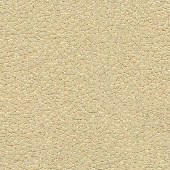 Brisa Camel 303-3960 by Schumacher Fabric ULTRALEATHER See Sample JAPAN HEAVY DUTY </p><p>Repeat: Horizontal: - and Vertical: - 54" WIDE (137CM) - Fabric Carolina -