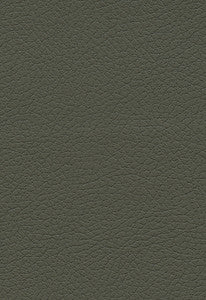 Brisa Olive 303-4488 by Schumacher Fabric