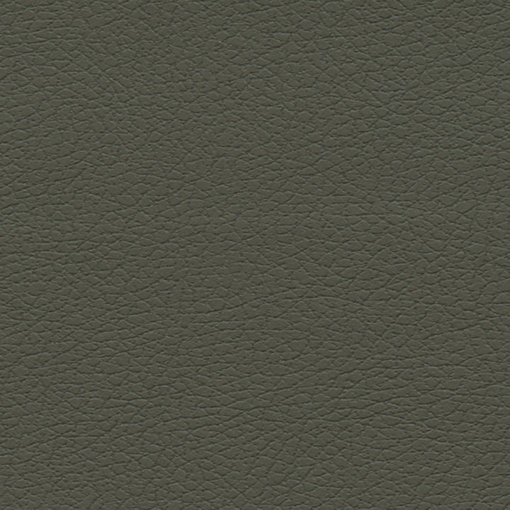 Brisa Olive 303-4488 by Schumacher Fabric ULTRALEATHER POLYURETHANE 100% JAPAN WYZENBEEK 200,000 </p><p>Repeat: Horizontal: and Vertical: 54 - Fabric Carolina -