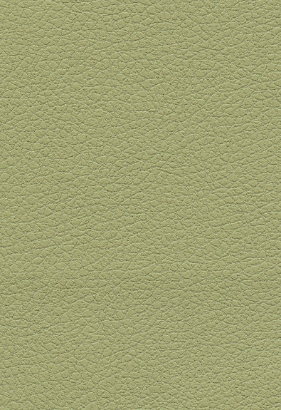 Brisa Celery 303-4510 by Schumacher Fabric Ultraleather 100% Polyurethane Wyzenbeek 200,000 Horizontal: - and Vertical: - 54 - Fabric Carolina -