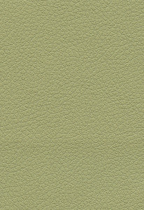 Brisa Celery 303-4510 by Schumacher Fabric