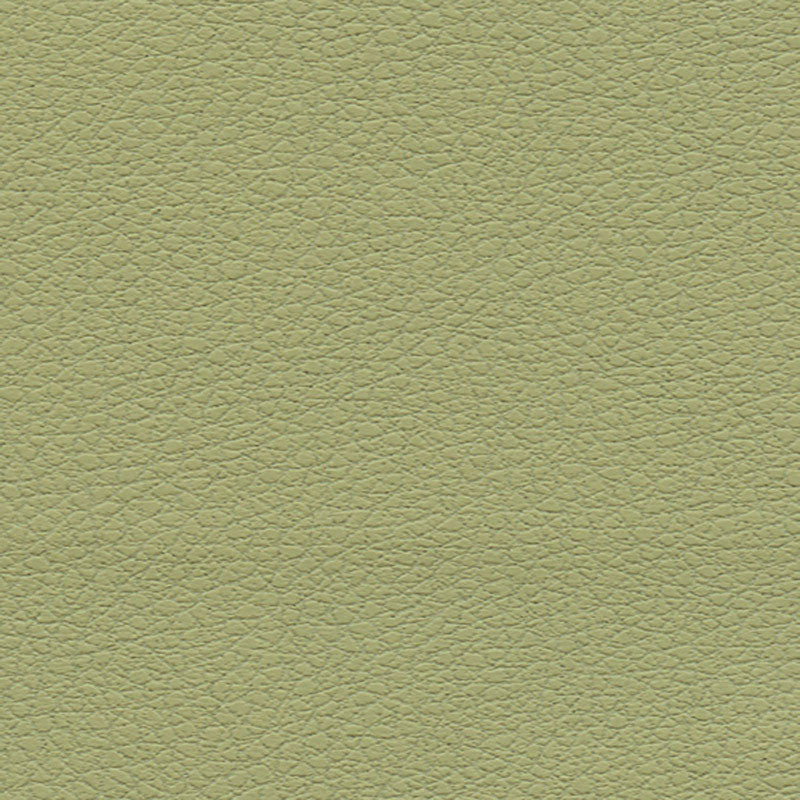 Brisa Celery 303-4510 by Schumacher Fabric ULTRALEATHER See Sample JAPAN HEAVY DUTY </p><p>Repeat: Horizontal: - and Vertical: - 54" WIDE (137CM) - Fabric Carolina -