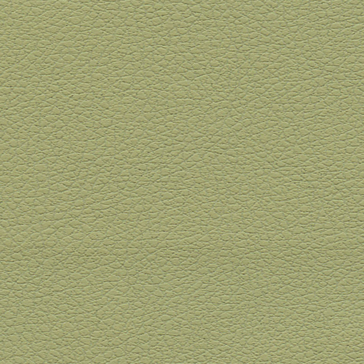 Brisa Celery 303-4510 by Schumacher Fabric ULTRALEATHER See Sample JAPAN HEAVY DUTY </p><p>Repeat: Horizontal: - and Vertical: - 54" WIDE (137CM) - Fabric Carolina -