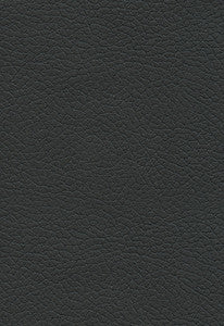 Brisa Black Onyx 303-5749 by Schumacher Fabric