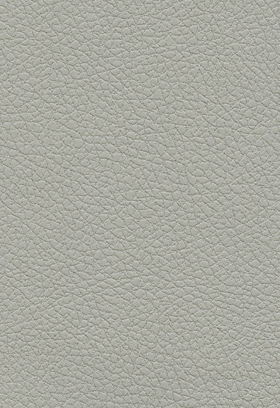 Brisa Quicksilver 303-5820 by Schumacher Fabric Ultraleather 100% Polyurethane Wyzenbeek 200,000 Horizontal: - and Vertical: - 54 - Fabric Carolina -