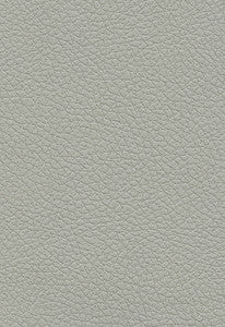 Brisa Quicksilver 303-5820 by Schumacher Fabric
