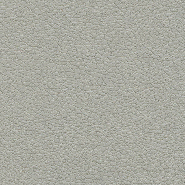 Brisa Quicksilver 303-5820 by Schumacher Fabric ULTRALEATHER See Sample JAPAN HEAVY DUTY </p><p>Repeat: Horizontal: - and Vertical: - 54" WIDE (137CM) - Fabric Carolina -