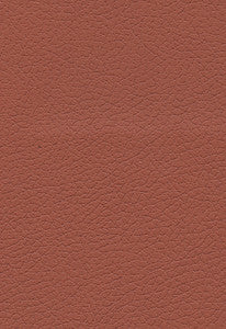 Brisa Cinnabar 303-8245 by Schumacher Fabric