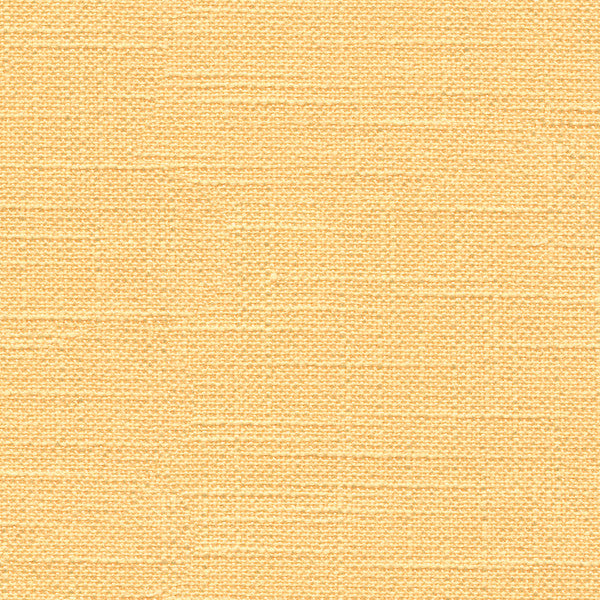 Victoria Buff by Kravet Basics Fabric