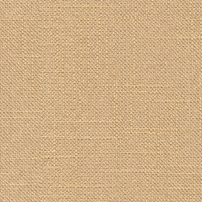 Victoria Cashew by Kravet Basics Fabric