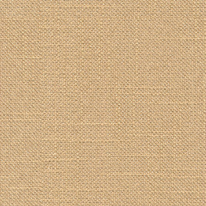 Victoria Cashew by Kravet Basics Fabric