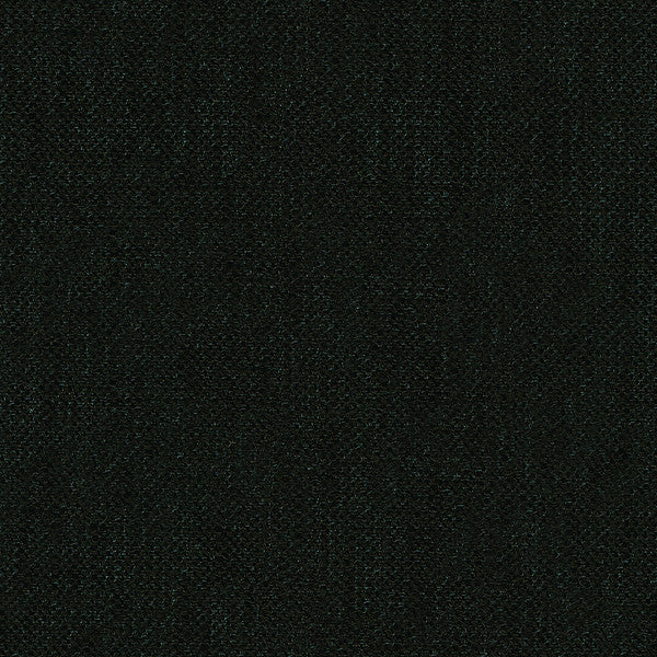 Victoria Noir by Kravet Basics Fabric