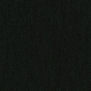 Victoria Noir by Kravet Basics Fabric