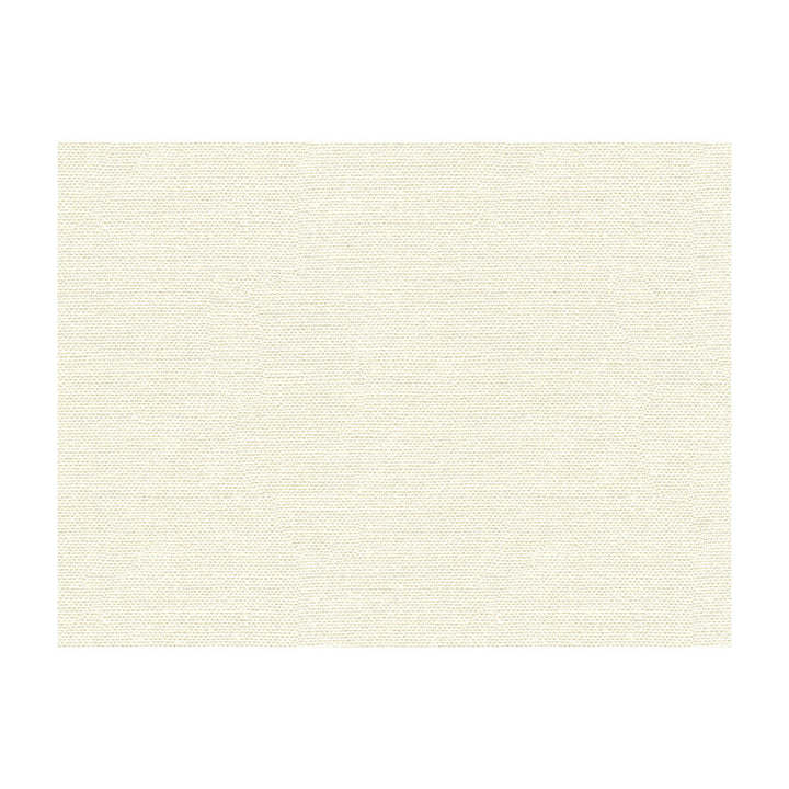 30421-1110 by Kravet Basics Designer Fabric PERFECT PLAINS LINEN - 100% China HEAVY Horizontal: and Vertical: 55 - Swanky Fabrics -