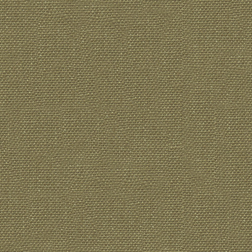 Watermill Lime by Kravet Basics Fabric