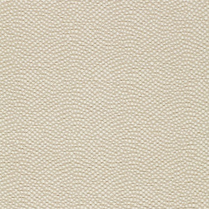 Pebbles Ecru 3044011 by Schumacher Fabric