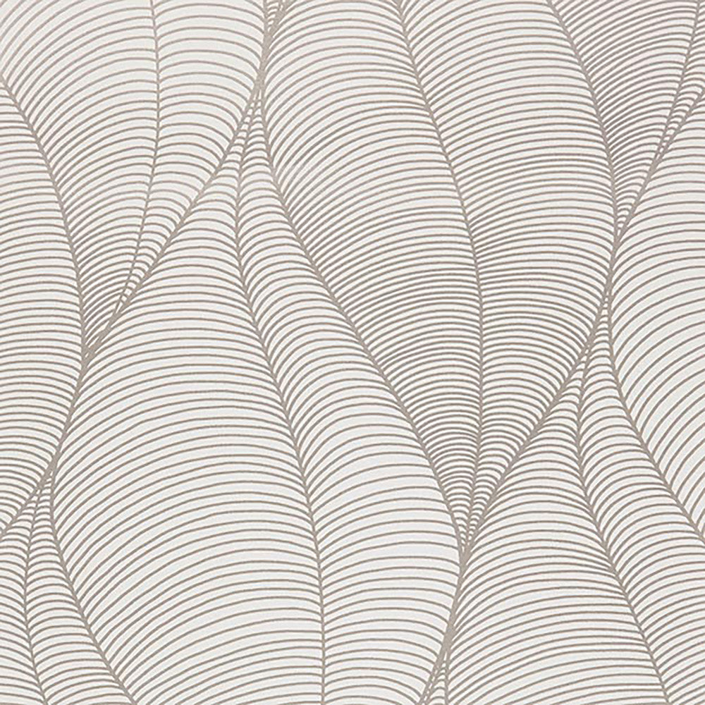 3062 31W7501 by JF Wallcovering CALLIGRAPHY WALLCOVERINGS 100% Wallpaper United Kingdom Horizontal: and Vertical: 27 20.5 inches, 11 yards per roll. - Fabric Carolina -