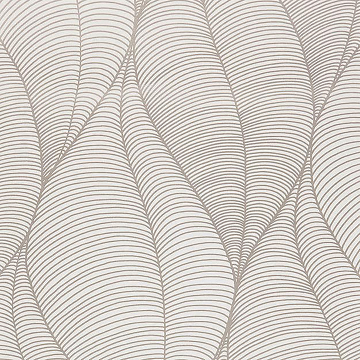 3062 31W7501 by JF Wallcovering CALLIGRAPHY WALLCOVERINGS 100% Wallpaper United Kingdom Horizontal: and Vertical: 27 20.5 inches, 11 yards per roll. - Fabric Carolina -