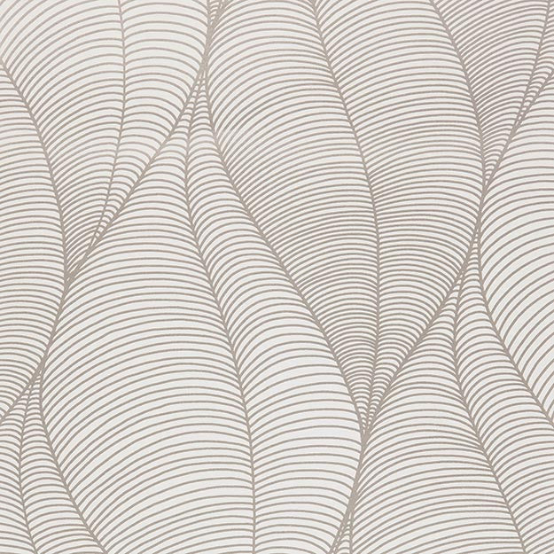 3062 31W7501 by JF Wallpaper CALLIGRAPHY WALLCOVERINGS 100% Wallpaper UNITED KINGDOM (see sample) Horizontal: N/A and Vertical: 27.000 20.50 - Fabric Carolina -