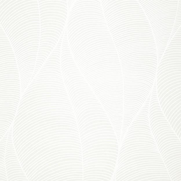 3062 91W7501 by JF Wallpaper CALLIGRAPHY WALLCOVERINGS 100% Wallpaper UNITED KINGDOM (see sample) Horizontal: N/A and Vertical: 27.000 20.50 - Fabric Carolina -