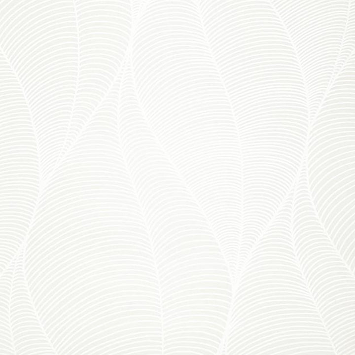 3062 91W7501 by JF Wallcovering CALLIGRAPHY WALLCOVERINGS 100% Wallpaper United Kingdom Horizontal: and Vertical: 27 20.5 inches, 11 yards per roll. - Fabric Carolina -