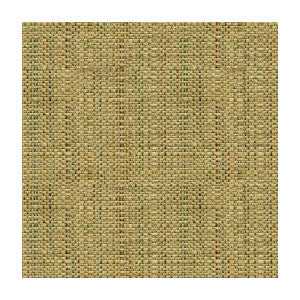 Kravet Smart 30667-130 by Kravet Smart Fabric