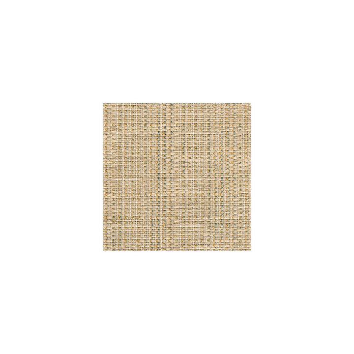 30667-1516 by Kravet Smart Fabric POLYESTER - 66%;ACRYLIC - 34% United States HEAVY Horizontal: and Vertical: 54 - Fabric Carolina -