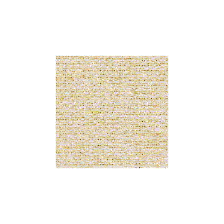 30667-1 by Kravet Smart Fabric POLYESTER - 66%;ACRYLIC - 34% United States HEAVY Horizontal: and Vertical: 54 - Fabric Carolina -