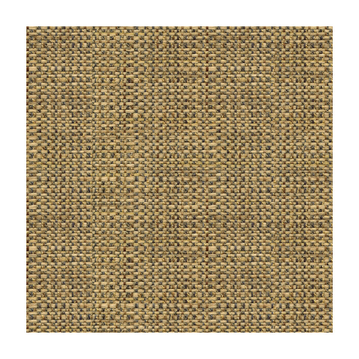 30667-516 by Kravet Smart Fabric - POLYESTER - 66%;ACRYLIC - 34% United States HEAVY Horizontal: - and Vertical: - 54 - Fabric Carolina -