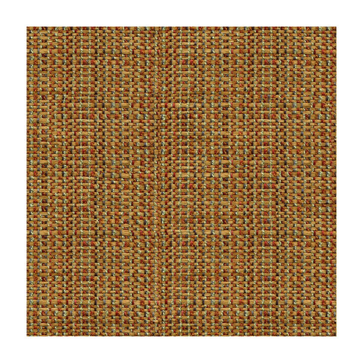 30667-619 by Kravet Smart Fabric POLYESTER - 66%;ACRYLIC - 34% United States HEAVY Horizontal: and Vertical: 54 - Fabric Carolina -