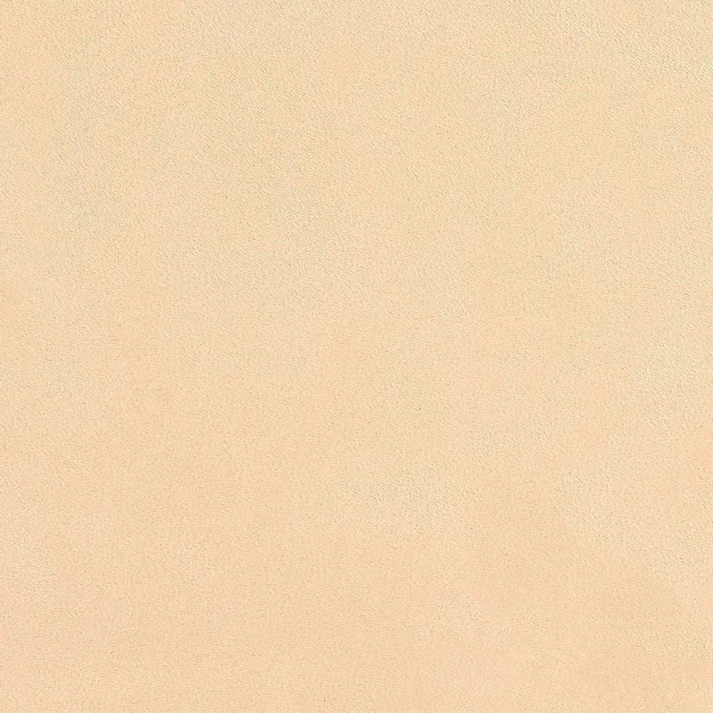 3073 Flax by Charlotte Fabric Microsuede, Ultimate Suede V 100% Woven Polyester Asia Exceeds 200,000 Wyzenbeek Rubs (Heavy Duty) No Repeat 54 Inches - Fabric Carolina -