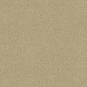 Ultrasuede Green Oatmeal by Kravet Design Fabric