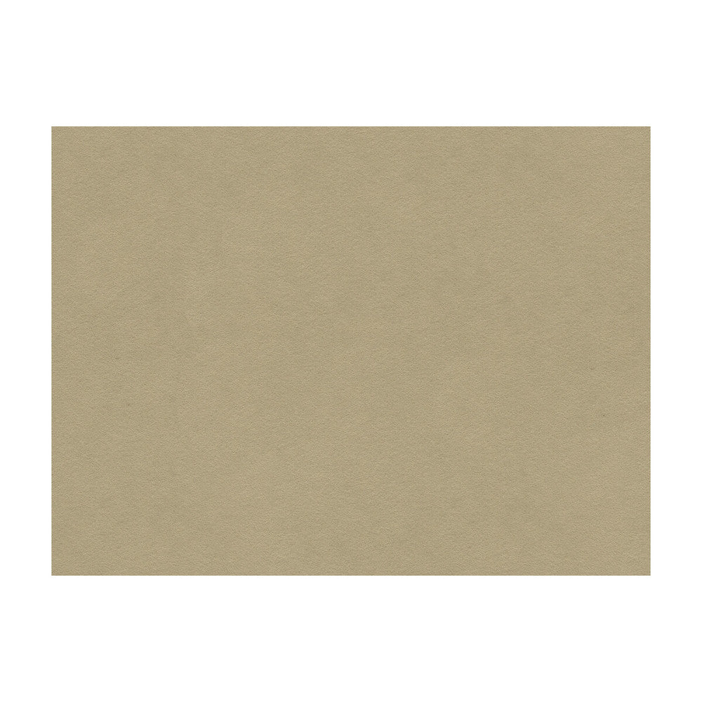 Ultrasuede Green Oatmeal by Kravet Design Fabric PERFORMANCE RECYCLED POLYESTER - 80%;POLYURETHANE - 20% Japan HEAVY Horizontal: and Vertical: 55 - Fabric Carolina -