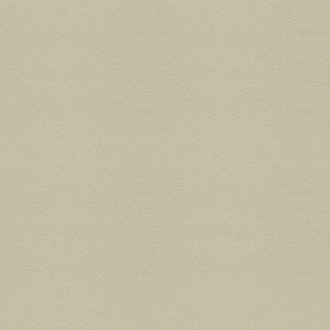 Ultrasuede Green Chino by Kravet Design Fabric