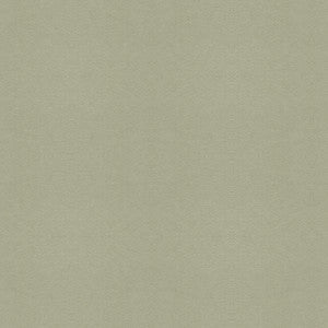 Ultrasuede Green Mist by Kravet Design Fabric