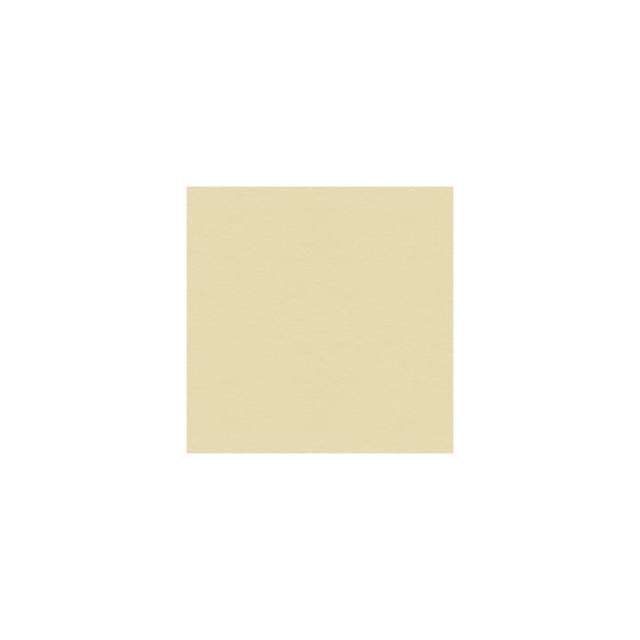 Ultrasuede Green Ivory by Kravet Design Fabric PERFORMANCE RECYCLED POLYESTER - 80%;POLYURETHANE - 20% Japan HEAVY Horizontal: and Vertical: 55 - Fabric Carolina -