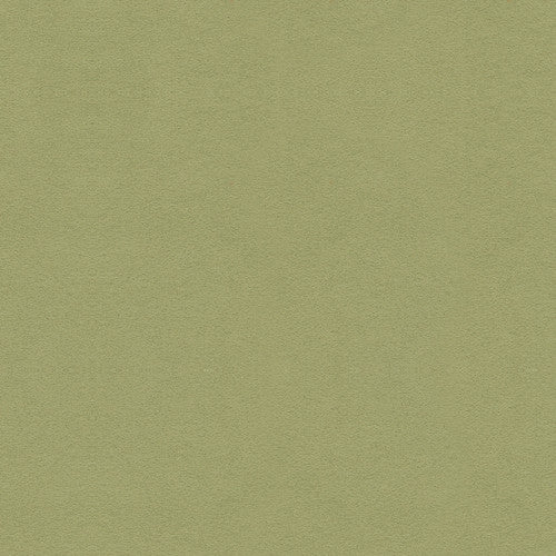 Ultrasuede Green Aloe by Kravet Design Fabric