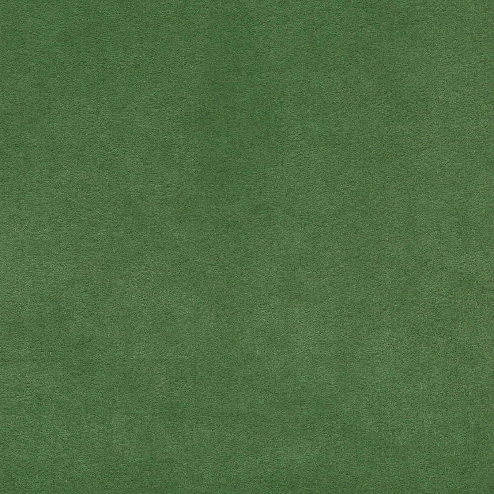 Ultrasuede Green Grass by Kravet Design Fabric PERFORMANCE RECYCLED POLYESTER - 80%;POLYURETHANE - 20% Japan HEAVY Horizontal: and Vertical: 55 - Fabric Carolina -
