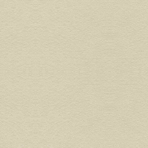 Ultrasuede Green Dove by Kravet Design Fabric