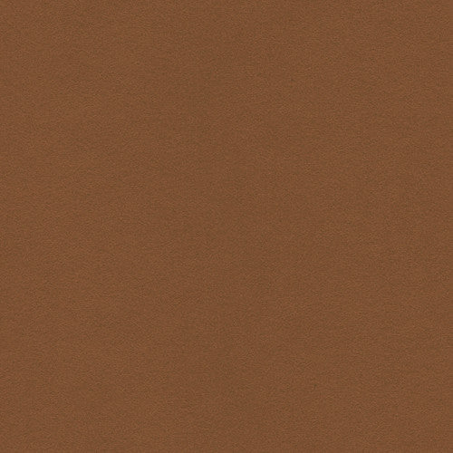 Ultrasuede Green Pecan by Kravet Design Fabric